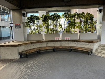 【その他】 | りりぱっとはうす