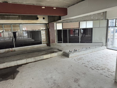 【その他】 | りりぱっとはうす