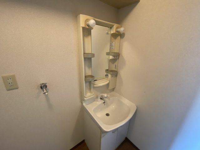 リーブ桜の洗面所