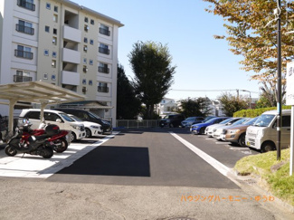 【駐車場】