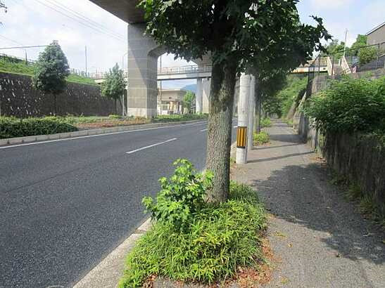 【前面道路含む現地写真】