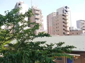 【展望】