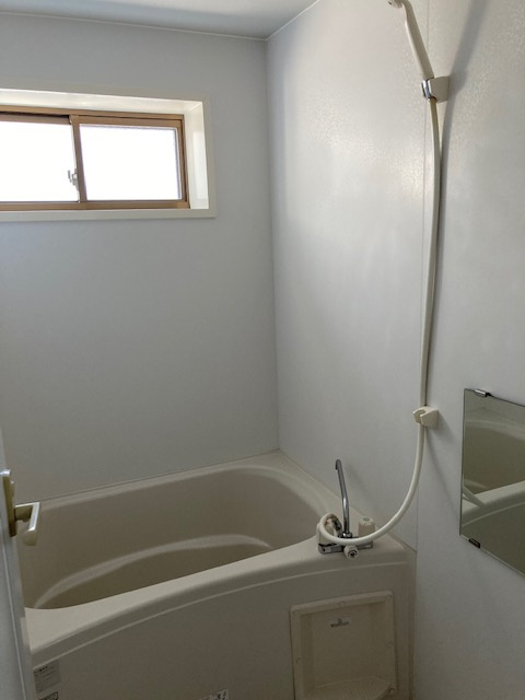 ロイヤルパレスオーシャンの浴室