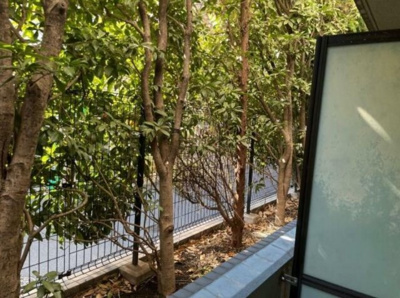 【展望】 | プロフ高田馬場