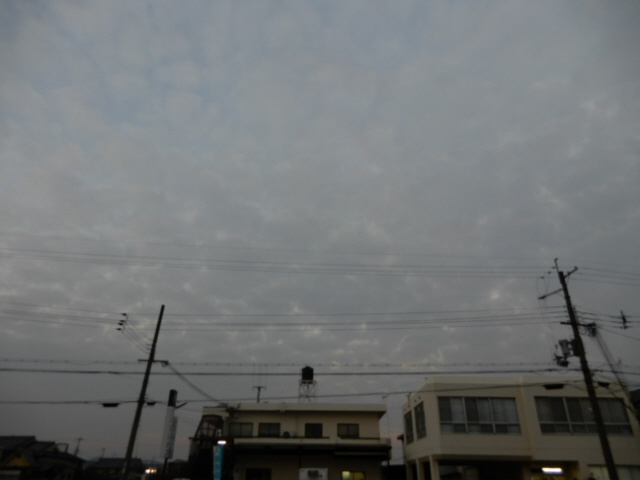 たかはいつ中仁野Ⅱの展望