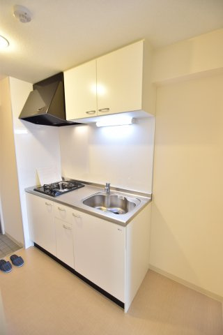 大阪市城東区成育２丁目の賃貸マンションのキッチン