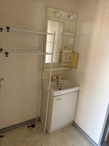ロイヤルパレスコスモスのその他|ゆったりとスペースのある洗面所