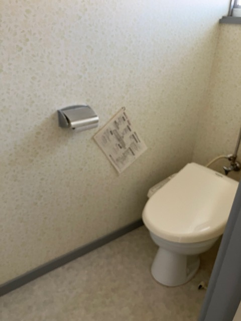 ロイヤルパレスコスモスのトイレ|トイレです