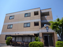 エクセル　ピアの画像