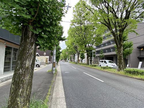 一乗寺向畑町 土地の前面道路含む現地写真
