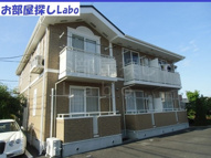 プラシードの画像