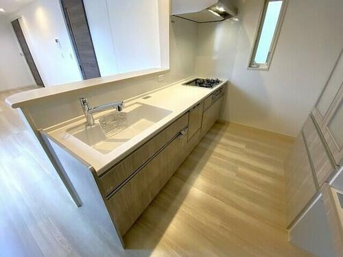 堀溝１丁目　未入居一戸建てのキッチン|システムキッチン　食器洗い乾燥機
■物件内覧・資金計画相談・住宅ローン相談、リフォーム相談、お問合せ受付中■
※当日・翌日のご内覧、ご相談はお電話でのお問合せがスムーズです！