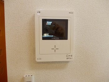 アバンツァート玉手Ⅲのセキュリティ
