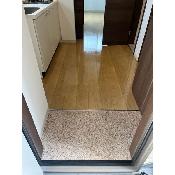 プロパティー城西の玄関