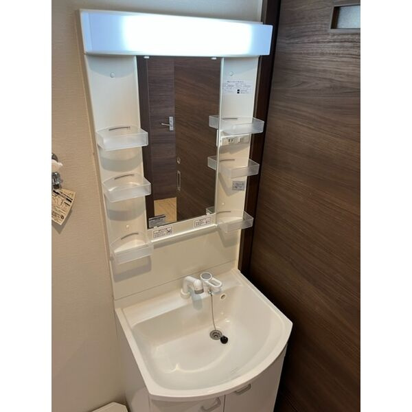 プロパティー城西の洗面所