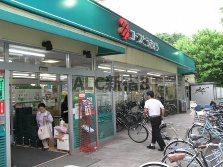 アークスハウス東新宿の周辺