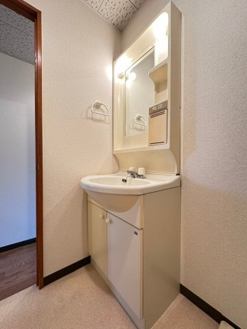 エクセル樋下の洗面所