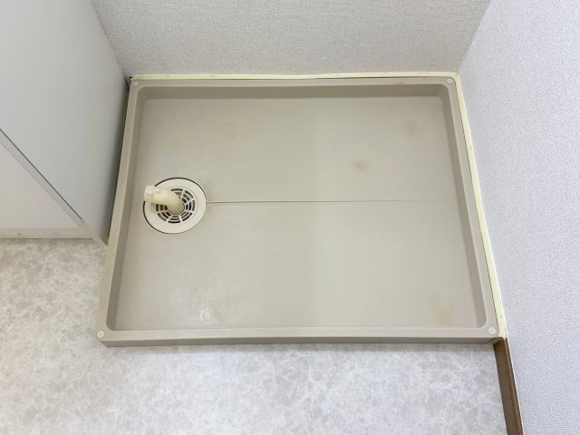 Ｌａ．プラティーヌのその他