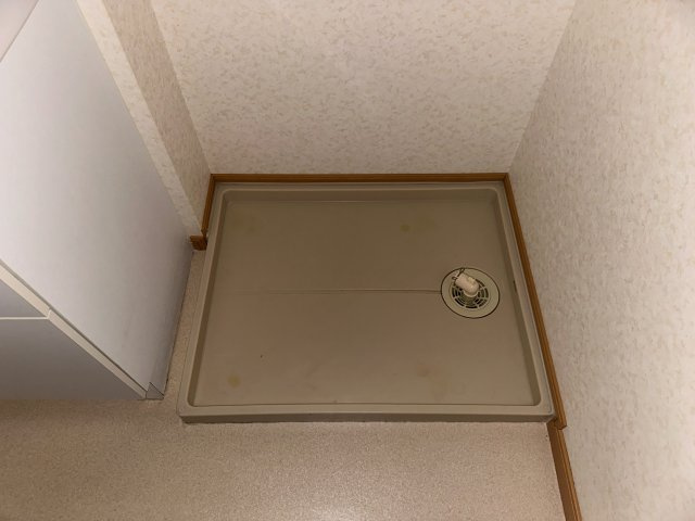 ベンファーターのその他