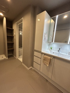 【独立洗面台】アミティ三郷早稲田6-1-2号棟 