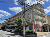 グレイスアベリアの画像