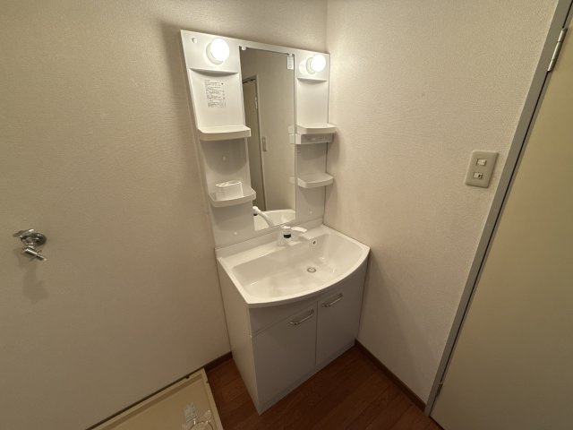 アメニティーハイムの洗面所