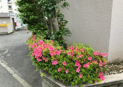 【庭】 | シャルマンコーポ本厚木 | 物件によっては、入居者が個人的に使用できる専用庭がついているものもあります。また、住宅の中にある土間の部分を庭と呼ぶこともあります。庭の用途は住む人によって変わり、それによってデザインもさまざまです。