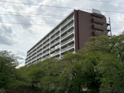 草加松原ハイツA棟の画像