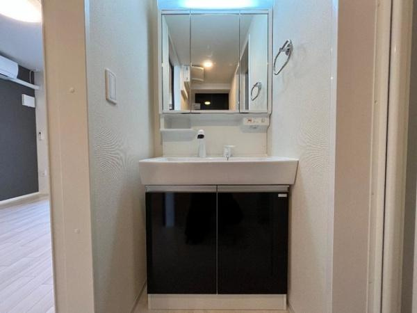 プレジャーの洗面所