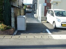 レオネクストユリのその他