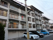 ハピネスの画像