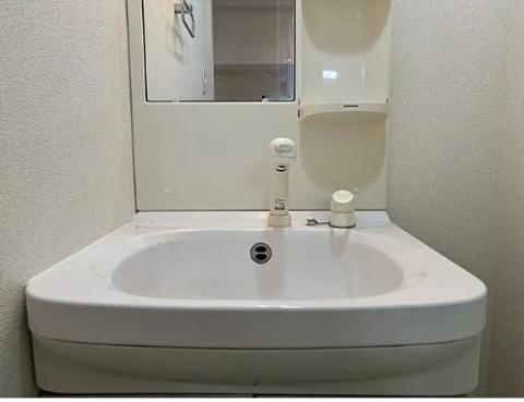 ルーエ江坂の洗面所