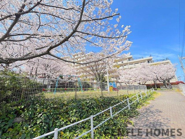 ベルヴィ香椎壱番館の周辺