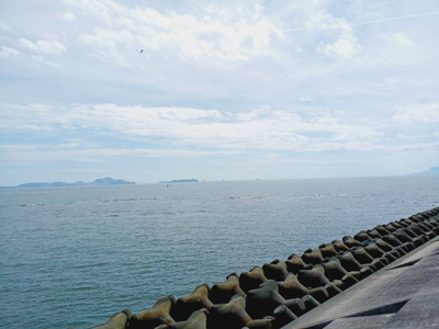  | 赤穂市中広売土地