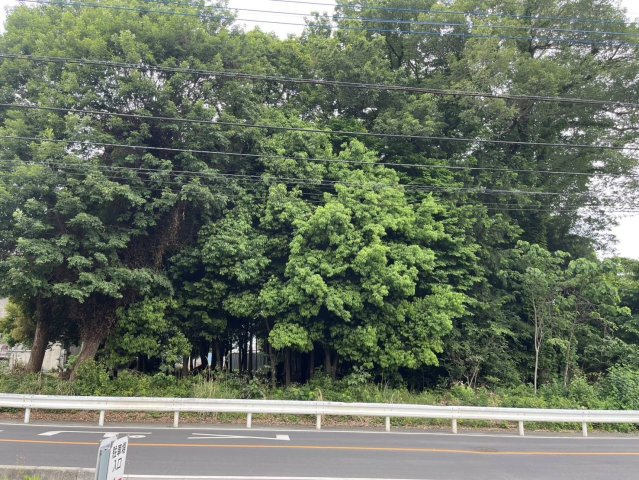 狭山市大字水野の売地の外観|公営水道、公共下水、都市ガス！