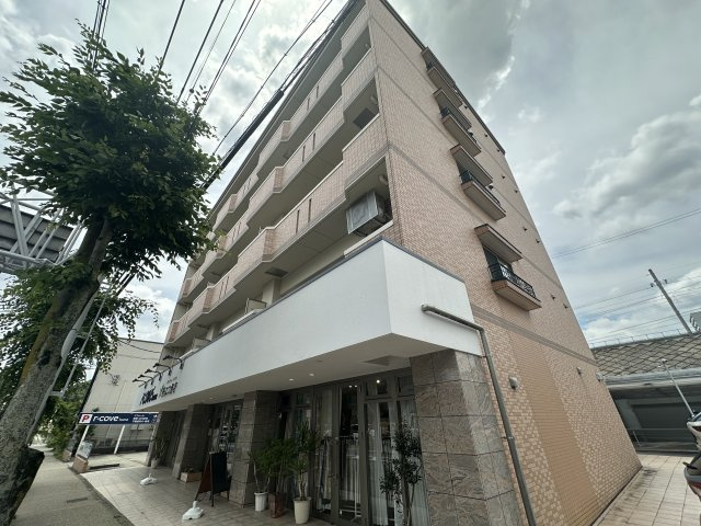 琥珀の外観