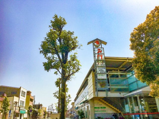 スーパーや教育機関など日常に必要な生活施設が身近に揃い、快適に暮らせる住環境が整っています。
