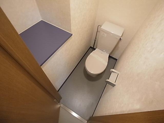 神戸市兵庫区上沢通１丁目の賃貸マンションのトイレ|トイレ