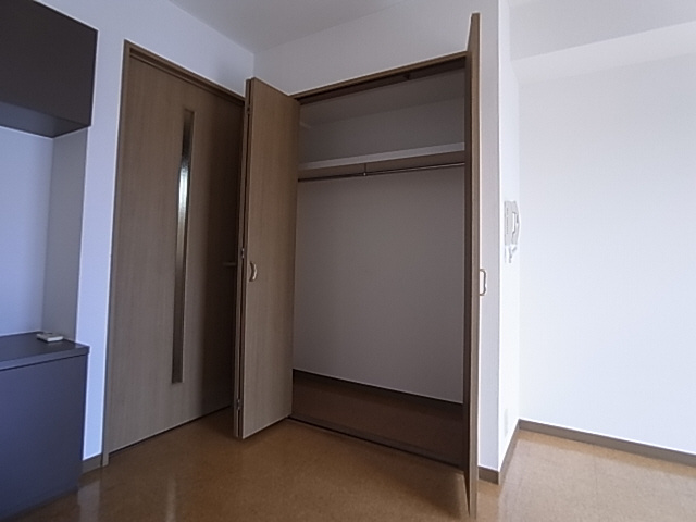 神戸市兵庫区上沢通１丁目の賃貸マンションの収納|クローゼット