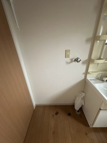 Ｎ’Sフレグランス　B棟の洗面所