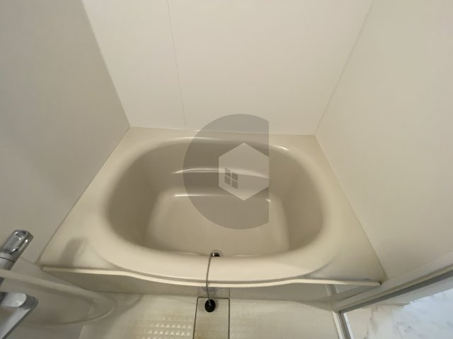 グロースコート弥刀の浴室