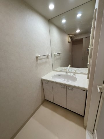 サーパス黒田の洗面所