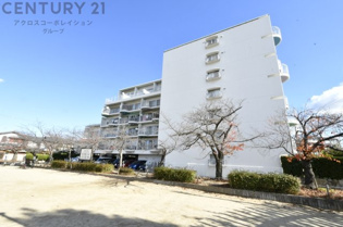 マンション向かいには、ご覧の公園があり子育て世代にもお勧めの住環境となっております。
その他、スーパーも徒歩10分圏内と買い物も便利です。