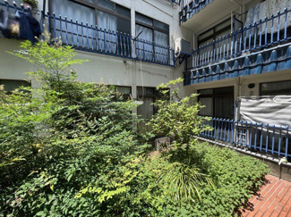 【展望】 | 洋室からの景色です～即日のご見学可能～　お問合せはお気軽にどうぞ。