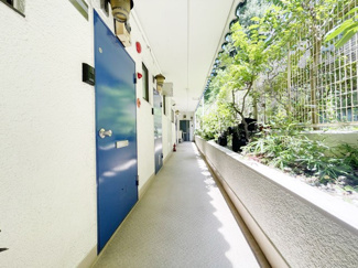 【その他共用部分】 | 共用廊下です。ここもきれいに清掃されています。周囲のお部屋の様子も、ぜひ伺ってみてください。～即日のご見学可能～　お問合せはお気軽にどうぞ。
