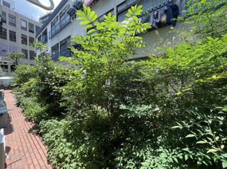 【展望】 | 洋室からの景色です～即日のご見学可能～　お問合せはお気軽にどうぞ。