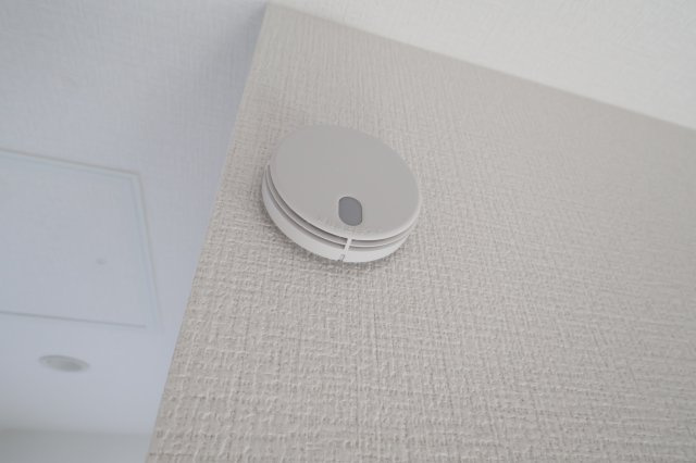 《仲介手数料無料》南区大字大谷口2541-6(全1戸)新築一戸建てリガーレのその他|撮影日 2025年8月3日 15:40 晴れ