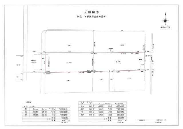 下都賀郡壬生町通町　307.54㎡　売地の土地図