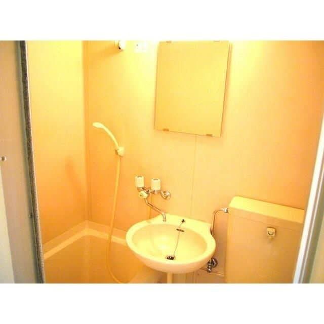 メゾン久米川の洗面所