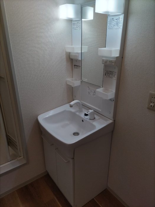 レーベンパレス A棟の洗面所